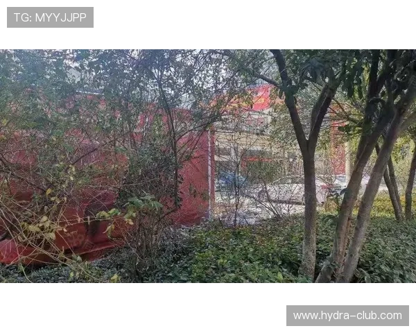 凯发悦公馆社区配套设施详解,满足您的多样生活需求 凯发悦公馆社区配套设施详解,满足您的多样生活需求